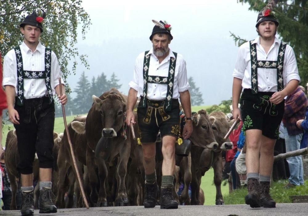 Chaletwohnung Seeblick Oy-Mittelberg Kültér fotó