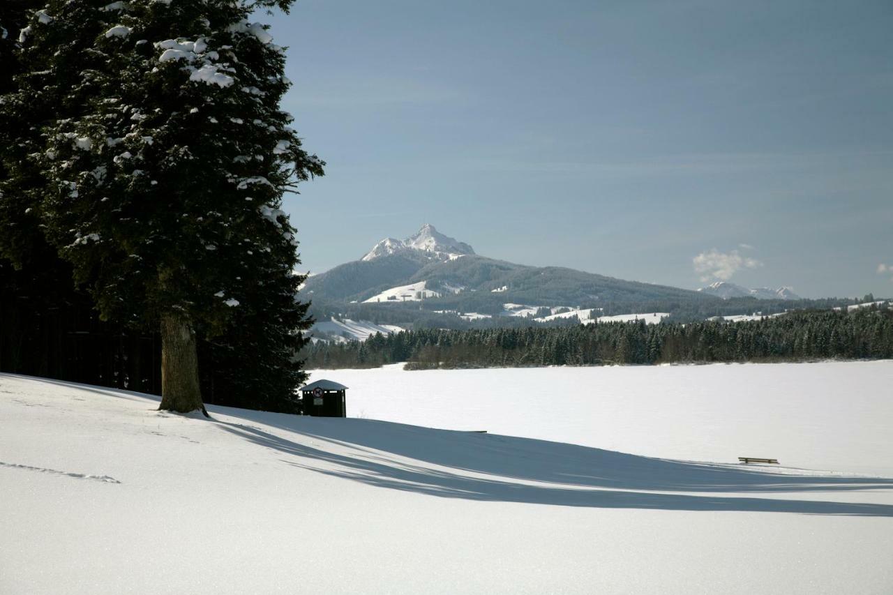 Chaletwohnung Seeblick Oy-Mittelberg Kültér fotó